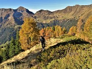 21 In decisa-ripida salita dalla Baita Nuova (1759 m)  alla cima del Monte Arete (2227 m) tra larici colorati d'autunno 